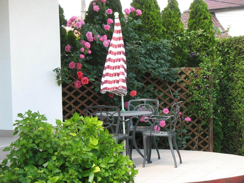 Doina Apartman Залакарос Стая снимка